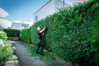 Будкрам купить Аккумуляторный кусторез Metabo HS 18 LTX BL 55, без акб Аккумуляторный кусторез Metabo HS 18 LTX BL 55, без акб 13