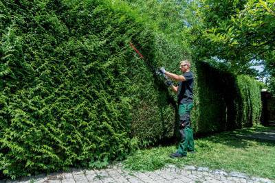 Будкрам купить Аккумуляторный кусторез Metabo HS 18 LTX BL 55, без акб Аккумуляторный кусторез Metabo HS 18 LTX BL 55, без акб 10