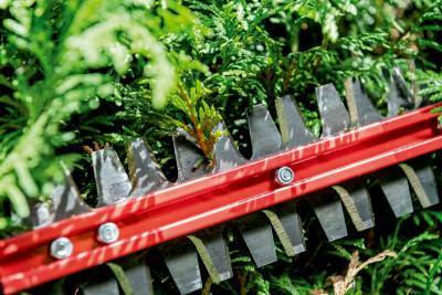 Будкрам купить Аккумуляторный кусторез Metabo HS 18 LTX BL 65 без акб (601723850) Аккумуляторный кусторез Metabo HS 18 LTX BL 65 без акб (601723850) 3