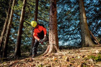 Будкрам купити Акумуляторна ланцюгова пилка Metabo MS 36-18 LTX BL 40 без акб (601613850) Акумуляторна ланцюгова пилка Metabo MS 36-18 LTX BL 40 без акб (601613850) 12