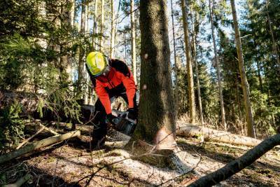 Будкрам купити Акумуляторна ланцюгова пилка Metabo MS 36-18 LTX BL 40 без акб (601613850) Акумуляторна ланцюгова пилка Metabo MS 36-18 LTX BL 40 без акб (601613850) 10