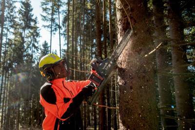 Будкрам купити Акумуляторна ланцюгова пилка Metabo MS 36-18 LTX BL 40 без акб (601613850) Акумуляторна ланцюгова пилка Metabo MS 36-18 LTX BL 40 без акб (601613850) 9