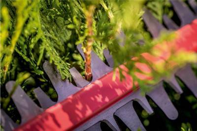 Будкрам купити Акумуляторний кущоріз Metabo HS 18 LTX 65 без акб (601719850) Акумуляторний кущоріз Metabo HS 18 LTX 65 без акб (601719850) 7