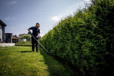 Будкрам купить Аккумуляторная коса с D-образной рукояткой RTD 18 LTX BL 30, без акб(601720850) Аккумуляторная коса с D-образной рукояткой RTD 18 LTX BL 30, без акб(601720850) 10