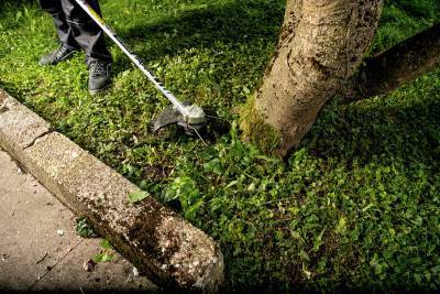 Будкрам купить Аккумуляторная коса с D-образной рукояткой RTD 18 LTX BL 30, без акб(601720850) Аккумуляторная коса с D-образной рукояткой RTD 18 LTX BL 30, без акб(601720850) 6