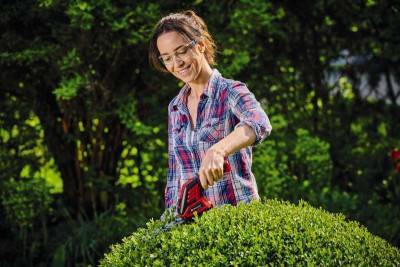 Будкрам купить Аккумуляторные ножницы Einhell GC-CG 3,6/70 Li WT Аккумуляторные ножницы Einhell GC-CG 3,6/70 Li WT 6