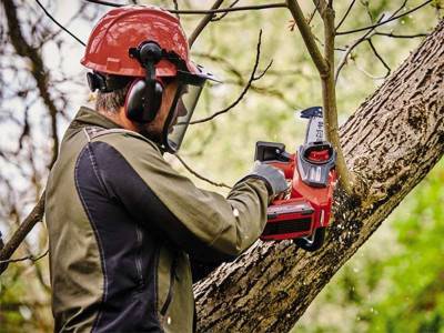 Будкрам купить Пила цепная бесщеточная аккумуляторная Einhell FORTEXXA 18/20 TH - Solo Пила цепная бесщеточная аккумуляторная Einhell FORTEXXA 18/20 TH - Solo 8