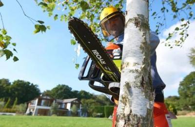 Будкрам купить Аккумуляторная цепная пила Ryobi ONE+ RCS1830 (5133005547) Аккумуляторная цепная пила Ryobi ONE+ RCS1830 (5133005547) 7