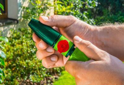 Будкрам купити Verto Шланг садовий, що розтягується, 7.5-22м, в комплекті зрошувач прямий 15G700 і конектор і 2 муфти Verto Шланг садовий, що розтягується, 7.5-22м, в комплекті зрошувач прямий 15G700 і конектор і 2 муфти 2