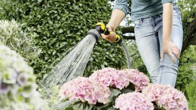 Будкрам купити Karcher Мультифункціональний пістолет Plus Karcher Мультифункціональний пістолет Plus 2