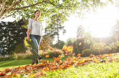 Будкрам купить Воздуходувка аккумуляторная Ryobi ONE+ OBL18JB, без акб Воздуходувка аккумуляторная Ryobi ONE+ OBL18JB, без акб 6