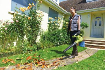 Будкрам купити Повітродув-пилосос Ryobi RBV3000CSV з подрібнювачем Повітродув-пилосос Ryobi RBV3000CSV з подрібнювачем 5