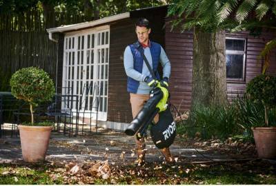 Будкрам купить Воздуходув-пылесос Ryobi RBV3000CESV, с измельчителем Воздуходув-пылесос Ryobi RBV3000CESV, с измельчителем 4