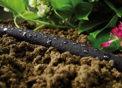 Будкрам купити Cellfast Шланг для краплинного поливу DRIP 1/2',15м Cellfast Шланг для краплинного поливу DRIP 1/2',15м 3