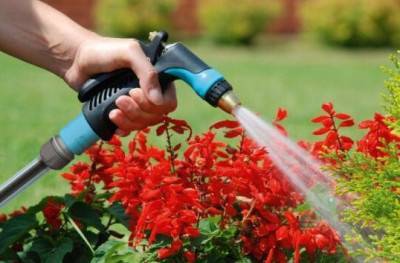 Будкрам купити Cellfast Зрошувач пістолетний МАХ IDEAL, латунь, плавне регулювання Cellfast Зрошувач пістолетний МАХ IDEAL, латунь, плавне регулювання 2