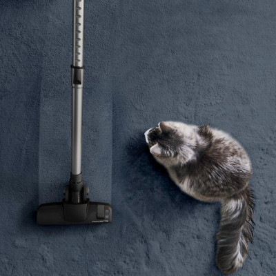 Будкрам купить Rowenta Пылесос контейнерный GREEN FORCE CYCLONIC EFFITECH+, 900Вт, конт пыль -2,5л, НЕРА, черный Rowenta Пылесос контейнерный GREEN FORCE CYCLONIC EFFITECH+, 900Вт, конт пыль -2,5л, НЕРА, черный 6