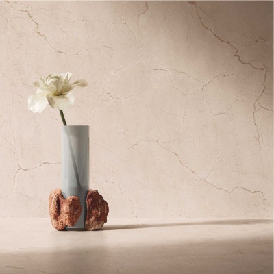 Будкрам купить 0011856 SPR.MEMOR. ROSA PERL. ANT R60X120 (1 сорт) 0011856 SPR.MEMOR. ROSA PERL. ANT R60X120 (1 сорт) 2