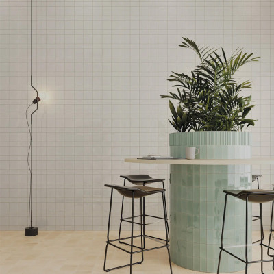 Будкрам купити Fayenza Belt Fern (1 сорт) Fayenza Belt Fern (1 сорт) 3