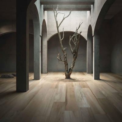 Будкрам купити WDD LIGHT NT RT 20x120 (1 сорт) WDD LIGHT NT RT 20x120 (1 сорт) 5