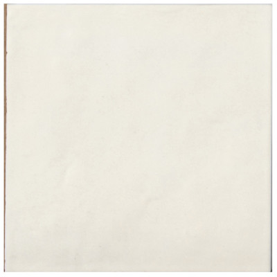 Будкрам купити CONTEMPORARY COCONUT MILK 15X15 (1 сорт)