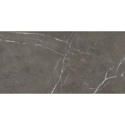 Будкрам купити SNS.900 STONE GREY ANT 60X120 (1 сорт) SNS.900 STONE GREY ANT 60X120 (1 сорт) 3