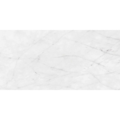 Будкрам купити SNS.900 CARRARA ANT R60X120 (1 сорт) SNS.900 CARRARA ANT R60X120 (1 сорт) 3