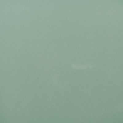 Будкрам купити Fayenza Square Fern (1 сорт)