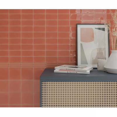 Будкрам купити FAYENZA CORAL (1 сорт) FAYENZA CORAL (1 сорт) 4