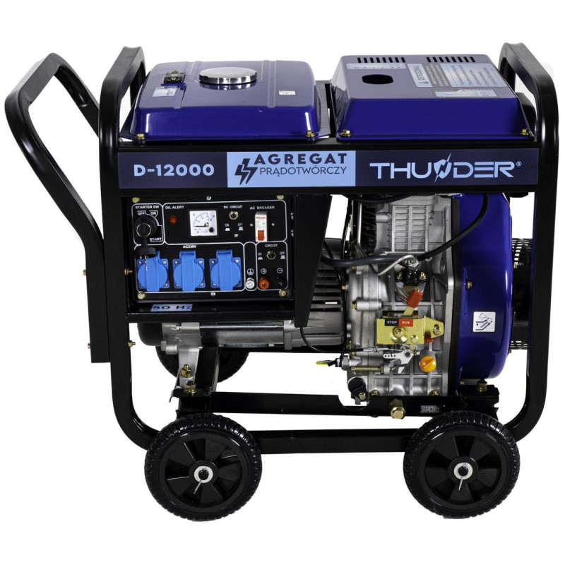 Будкрам купити Дизельний генератор THUNDER D-12000