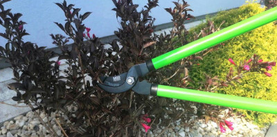 Будкрам купити Секатор та ножиці для гілок Bass Polska BP-8885 Секатор та ножиці для гілок Bass Polska BP-8885 9