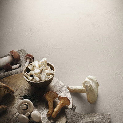 Будкрам купити ARGILLAE NEVE RECT 60X120 (1 сорт) ARGILLAE NEVE RECT 60X120 (1 сорт) 2