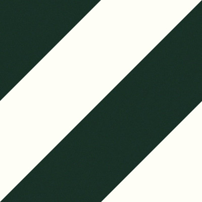 Будкрам купить EC.ZEBRA FOREST (1 сорт)