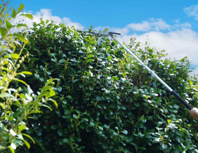 Будкрам купити Садовий набір Zipper ZI-GPS252 Садовий набір Zipper ZI-GPS252 9