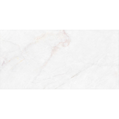 Будкрам купити DAHLIA WHITE NT/60X120X0,9/C/R (1 сорт) DAHLIA WHITE NT/60X120X0,9/C/R (1 сорт) 3