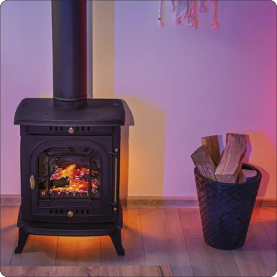 Будкрам купити Чавунна дров'яна піч-камін THUNDER Agni 7кВт Чавунна дров'яна піч-камін THUNDER Agni 7кВт 2