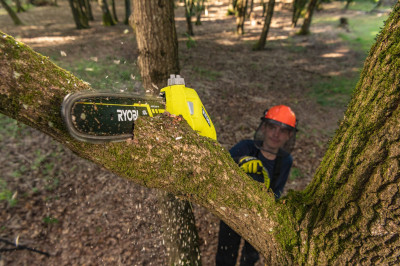 Будкрам купить Ryobi Высоторез цепной аккумуляторный Max Power RY36PP25A-0 36В шина 25см длина 3м 4.3кг (без АКБ и ЗУ) Ryobi Высоторез цепной аккумуляторный Max Power RY36PP25A-0 36В шина 25см длина 3м 4.3кг (без АКБ и ЗУ) 3