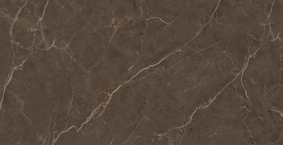 Будкрам купити VENICE MARRONE EC729 ### (1 сорт) VENICE MARRONE EC729 ### (1 сорт) 3