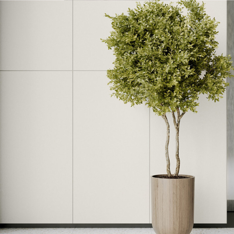 Будкрам купить GRES MONOLIGHT EXTERIOR WHITE RECT (1 сорт)