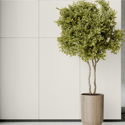 Будкрам купить GRES MONOLIGHT EXTERIOR WHITE RECT (1 сорт)