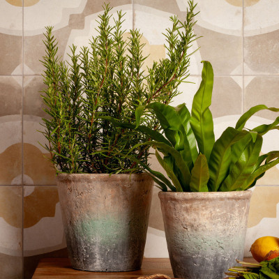 Будкрам купить FS FARFALLA MUSTARD/45X45X0,95 (1 сорт) FS FARFALLA MUSTARD/45X45X0,95 (1 сорт) 4