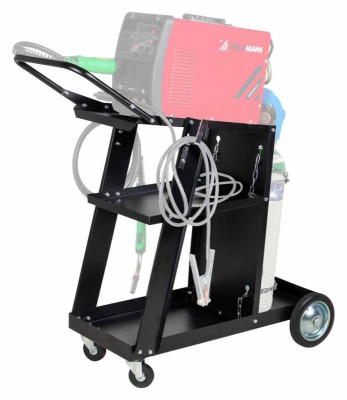 Будкрам купити Візок Holzmann FW101 Візок Holzmann FW101 2