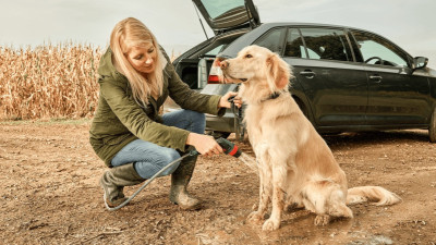 Будкрам купити Мінімийка акумуляторна Bosch Fontus 18V 18В 20бар 386л/год 7.5кг без АКБ та ЗП Мінімийка акумуляторна Bosch Fontus 18V 18В 20бар 386л/год 7.5кг без АКБ та ЗП 9