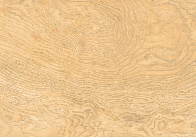 Будкрам купить GRES NEOSIMPLE LIGHT BEIGE RECT (1 сорт) GRES NEOSIMPLE LIGHT BEIGE RECT (1 сорт) 3