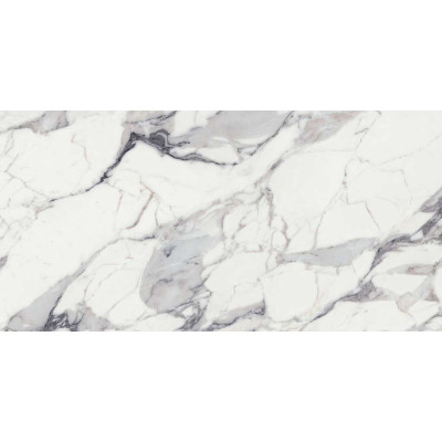 Будкрам купити 769859 ORIGINES DE REX ARGENT GLOSSY  RET (1 сорт) 769859 ORIGINES DE REX ARGENT GLOSSY  RET (1 сорт) 2
