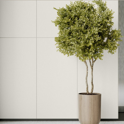 Будкрам купити GRES MONOLIGHT EXTERIOR WHITE R10 RECT (1 сорт)
