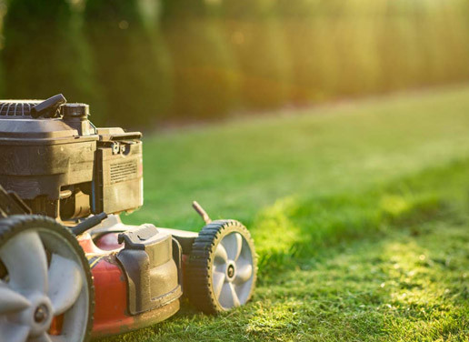 Будкрам Как выбрать идеальную газонокосилку для большого участка: советы по мощности и функциональности